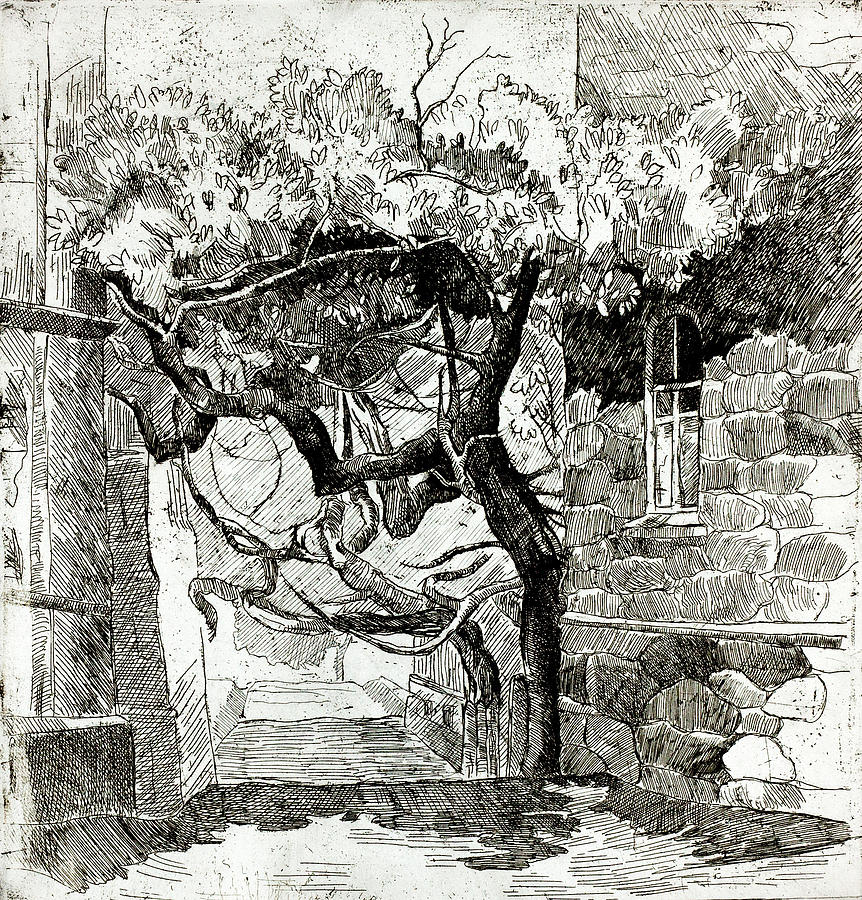 Tree Near Ruins By Ivailo Nikolov Drawing