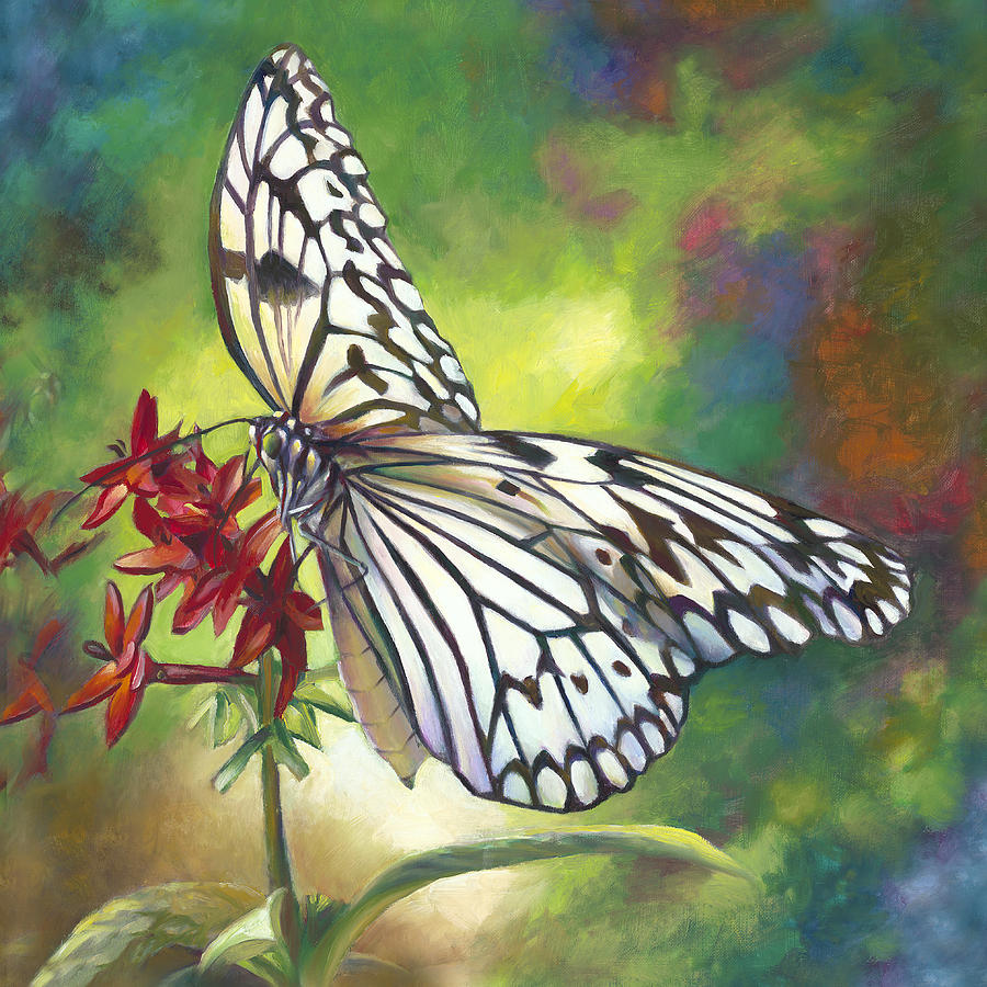 Tree Nymph Butterfly Painting by Nancy Tilles