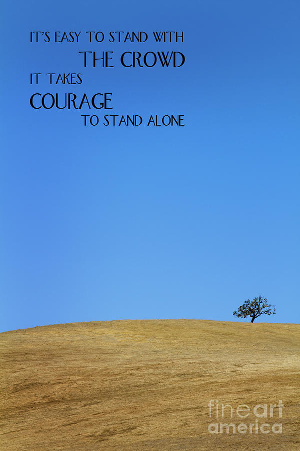 Tree Of Courage by Steven Frame Tree Of Courage by Steven Frame