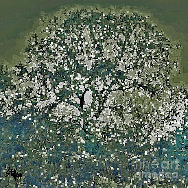 Tree Of Fractals Digital Art by Stefan Duncan