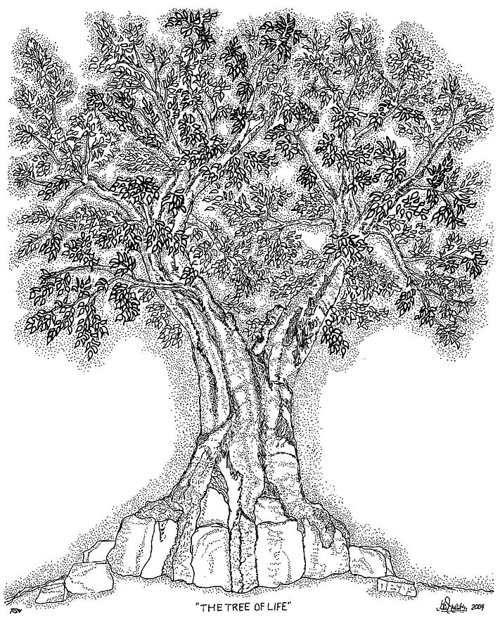 Inspirational Drawing - Tree Of Life 1 by Glenn McCarthy Art and Photography
