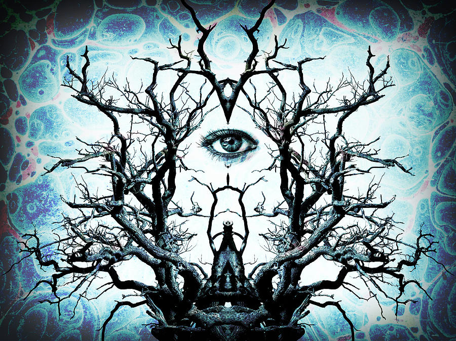 Tree of Life Archetype Religious Symmetry Photograph by John Williams