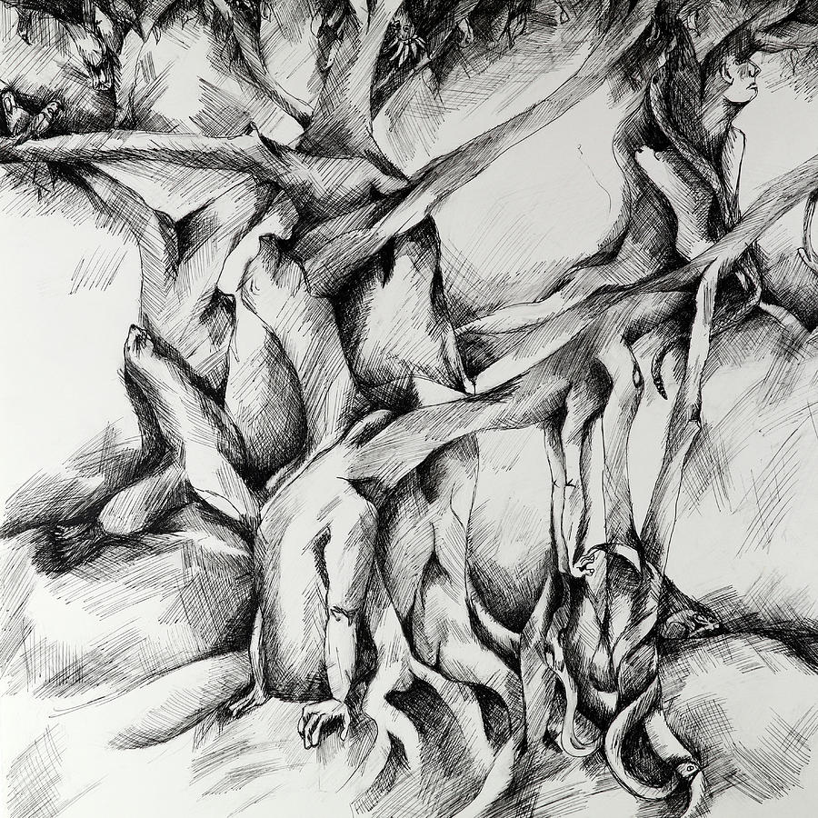 Tree Of Life Drawing by Carol Montoya