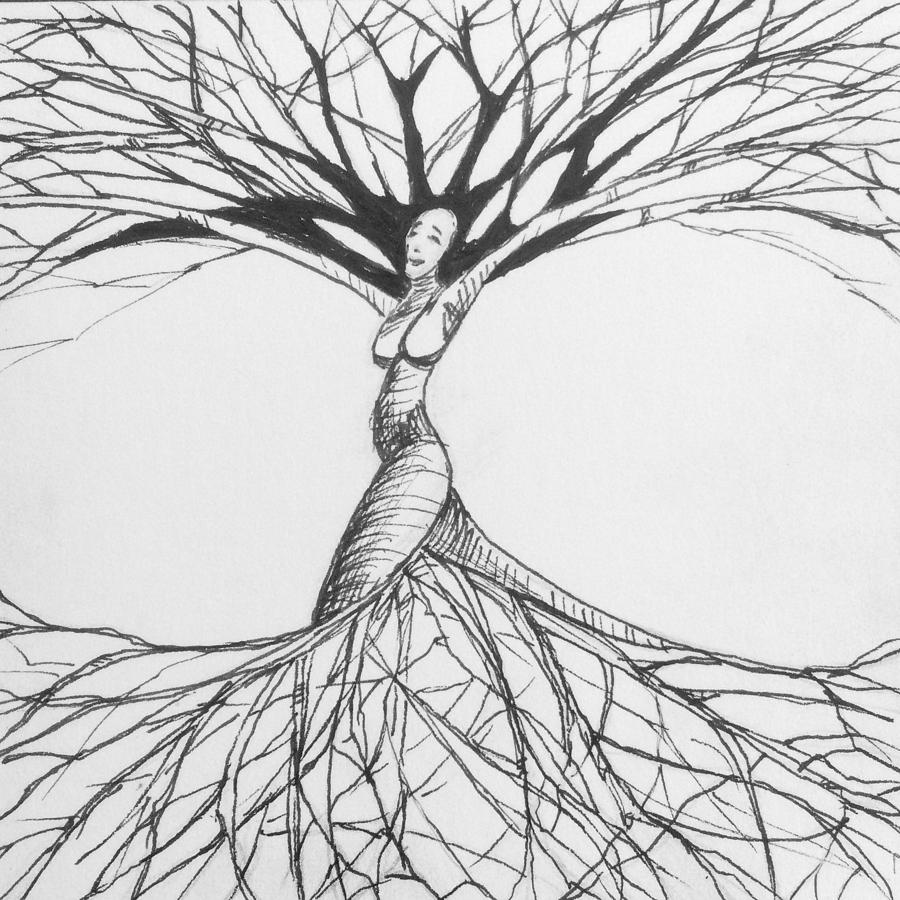 Tree Of Life Drawing by Jason Strong