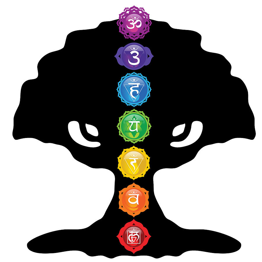 Tree Of Life Silhouette With Seven Chakras Digital Art by Serena King
