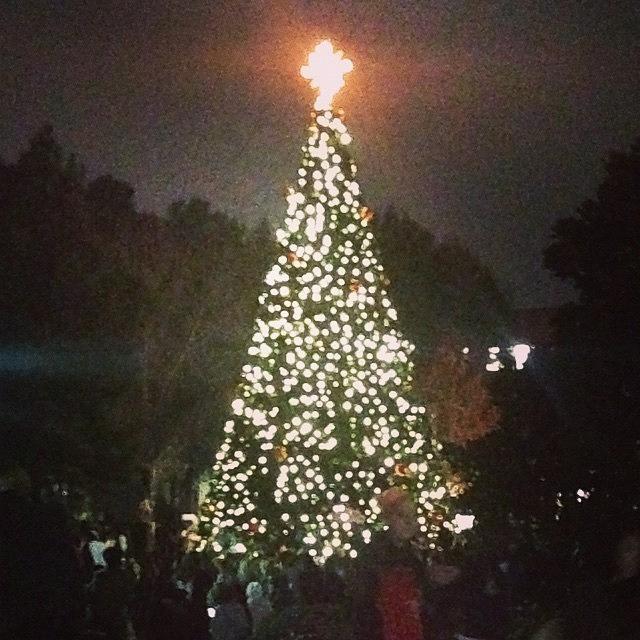 Christmas Photograph - Tree Of Light #shsu #christmas #tree by Sarah Verdejo