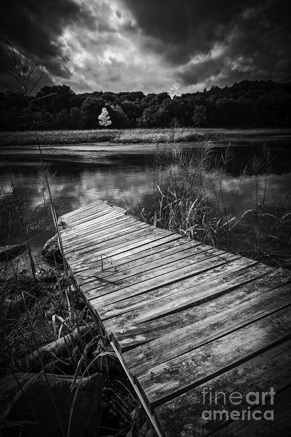 Nature Photograph - Tree of Zen Black and White by Edward Fielding