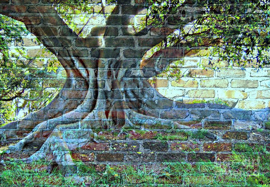Tree On A Wall Mixed Media by Leanne Seymour
