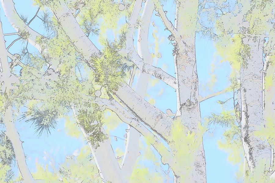 Tree Pastel Digital Art by Linda Brody