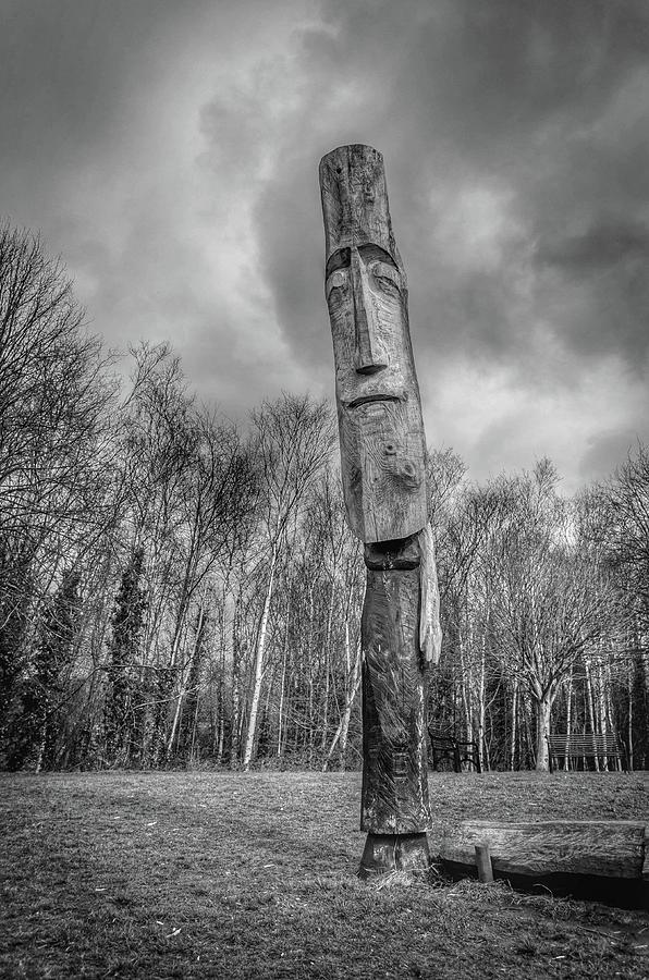 Tree Person Photograph by David Stewart - Fine Art America