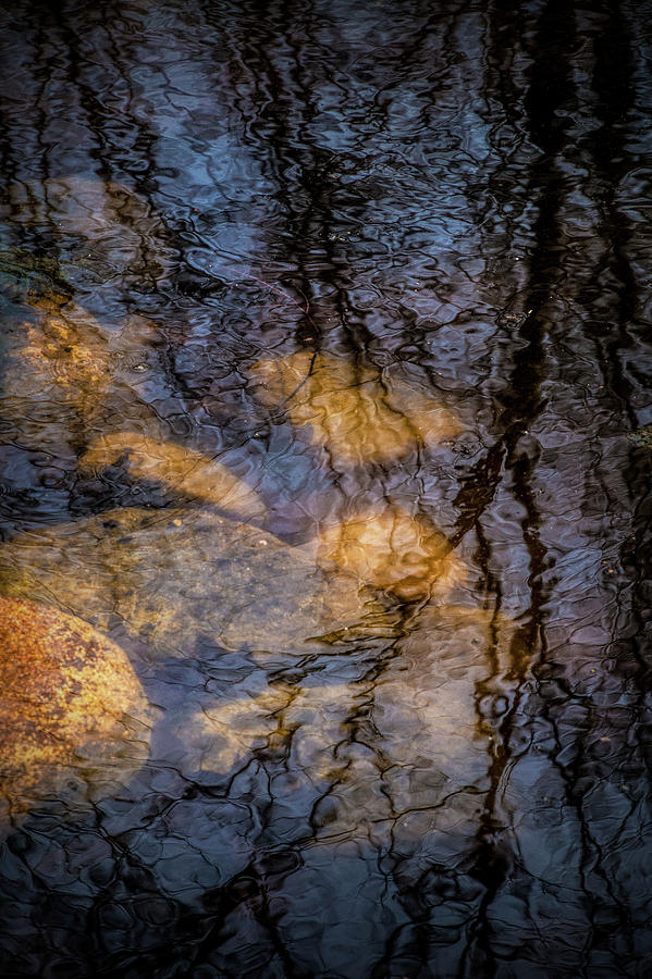 Tree Pond Refections with Rocks Photograph by Randall Nyhof