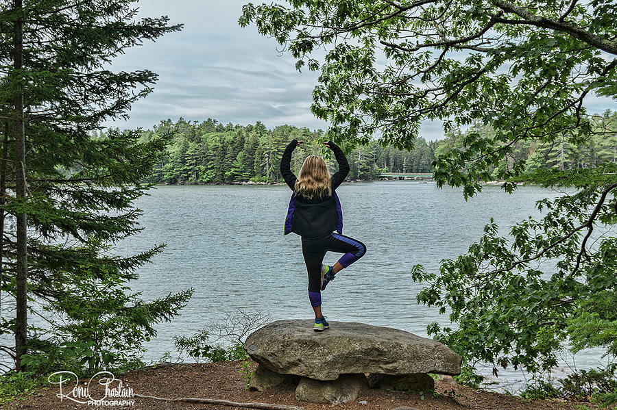 Tree Pose Photograph by Roni Chastain