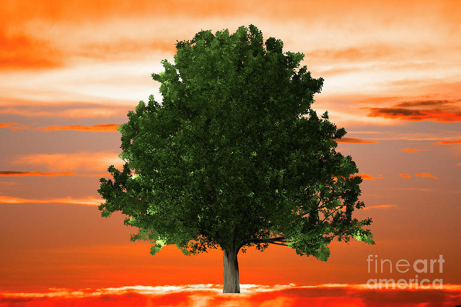 Tree Pulled By Roots Digital Art by Donna L Munro
