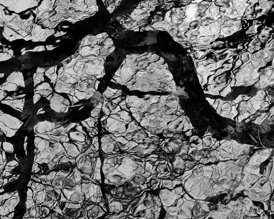 Tree Reflection I BW Photograph by David Gordon