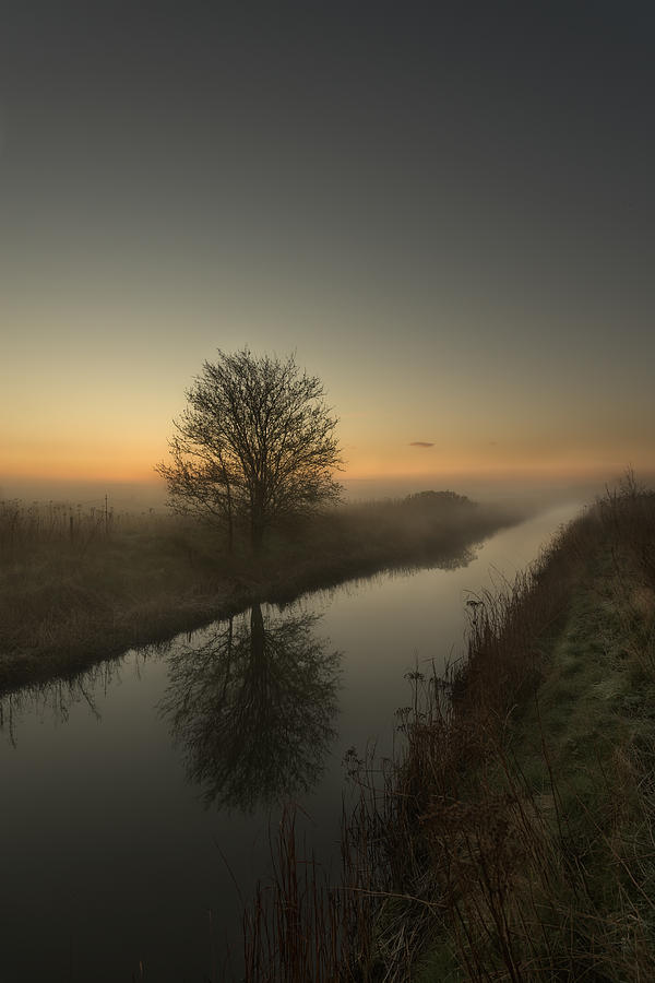 Tree Reflection on a Foggy Morning Photograph by Bo Nielsen