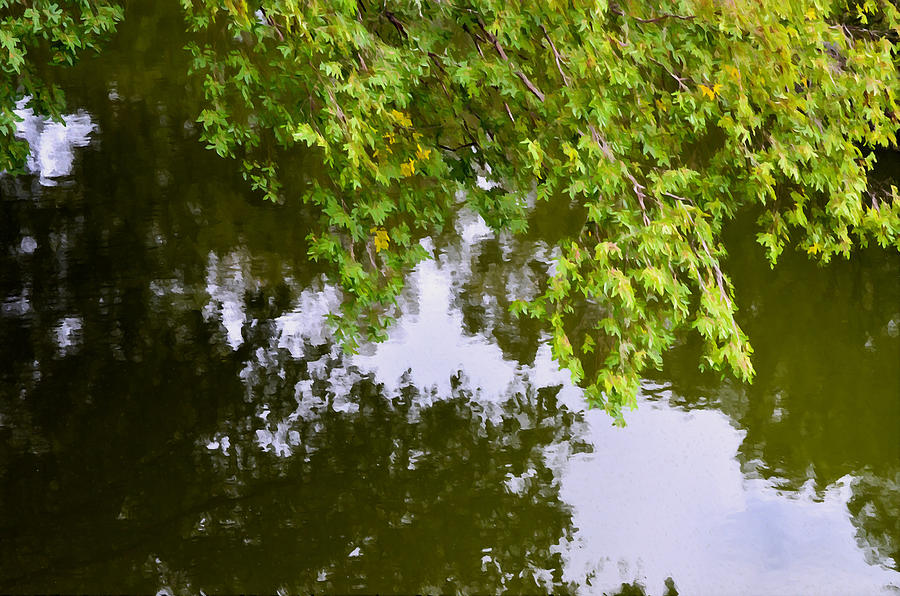 Tree Painting - Tree reflection on water 2 by Jeelan Clark
