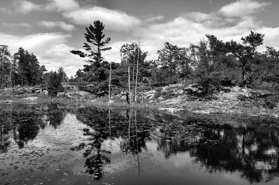 Tree Reflections BW  Photograph by Lyle Crump