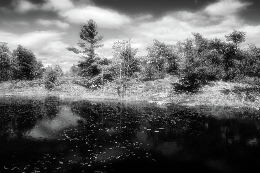 Tree Reflections BW2  Photograph by Lyle Crump