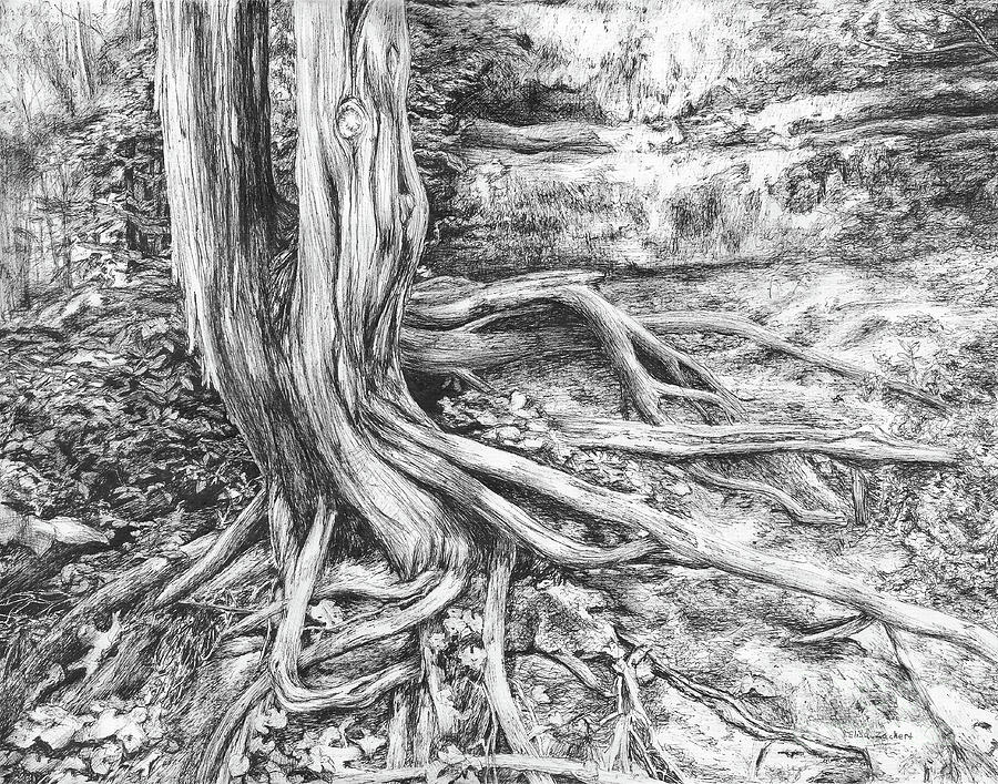 tree roots elisa post