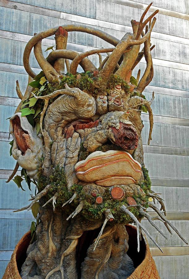 Tree Sculpture Photograph by Ron Kandt
