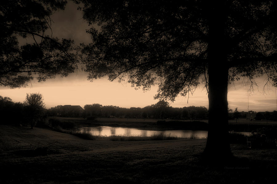 Tree Silhouette By The Pond Sepia Photograph by Thomas Woolworth