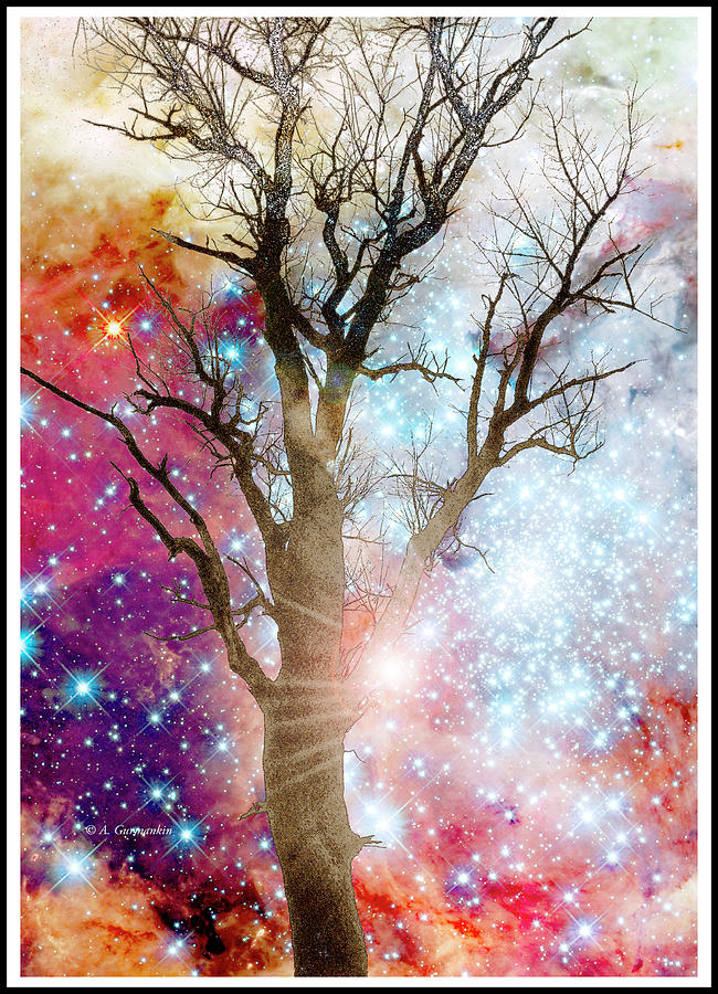 Tree Silhouette in Winter, Starry Night Fantasy Digital Art by A Macarthur Gurmankin