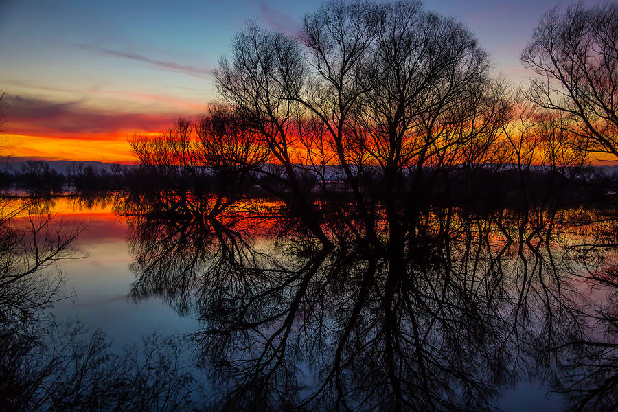 Sunset Photograph - Tree Silhouettes At Sunset by Garry Gay