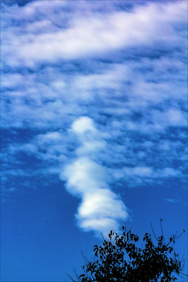 Tree Sky and Clouds Photograph by Robert Ullmann