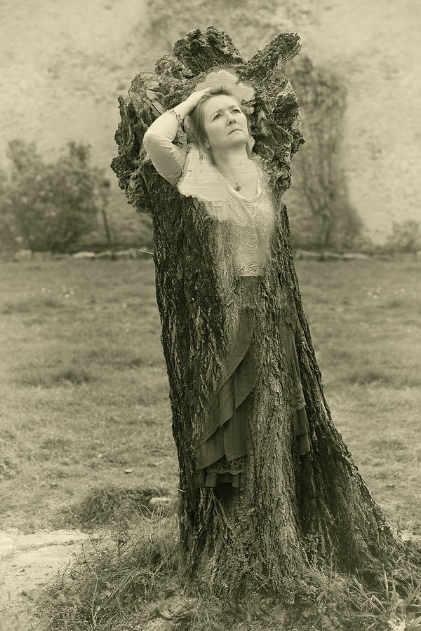 Tree Spirit Photograph by Jean Gill