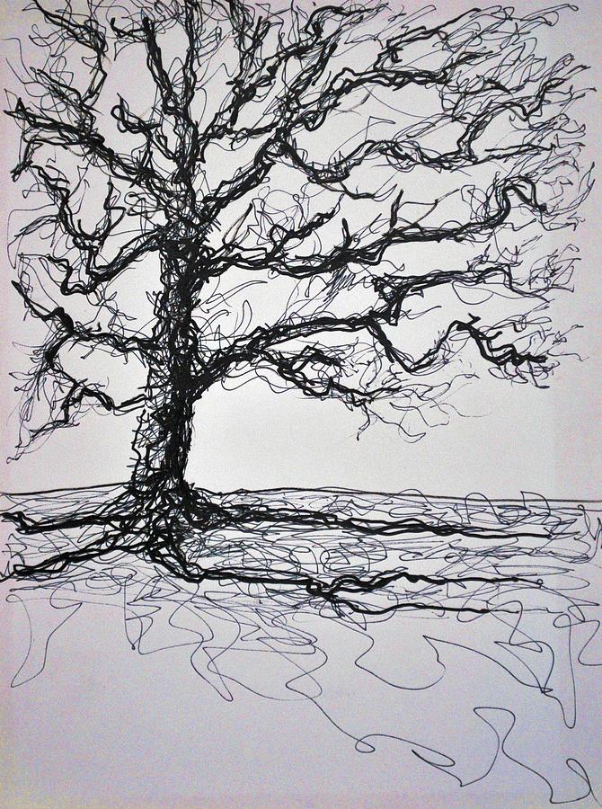 Tree Drawing by Steven Barrett