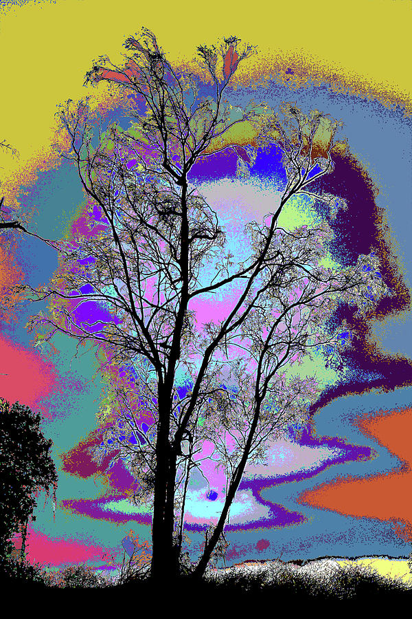 Abstract Photograph - Tree - Story Of Life by Kenneth James