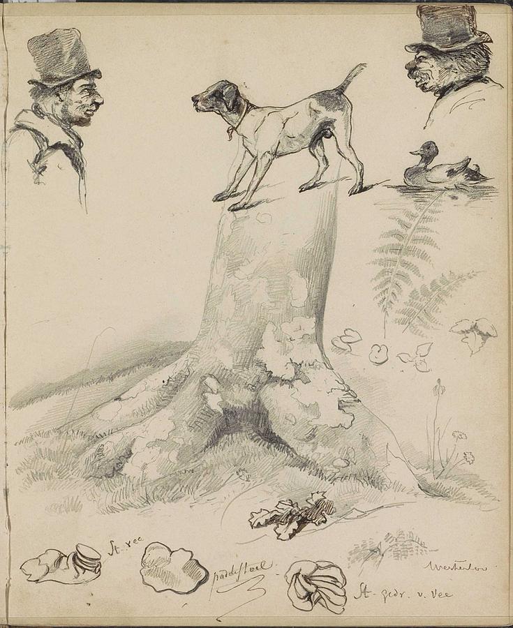 Tree Stump, Male Heads, A Dog And A Duck, Johannes Tavenraat, 1841 Painting