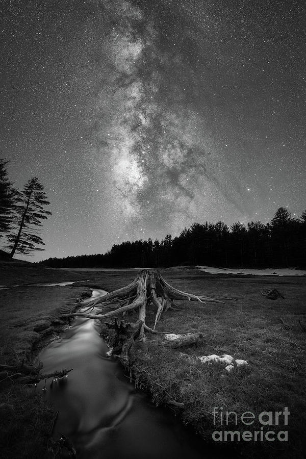 Winter Photograph - Tree Stump Milky Way BW by Michael Ver Sprill
