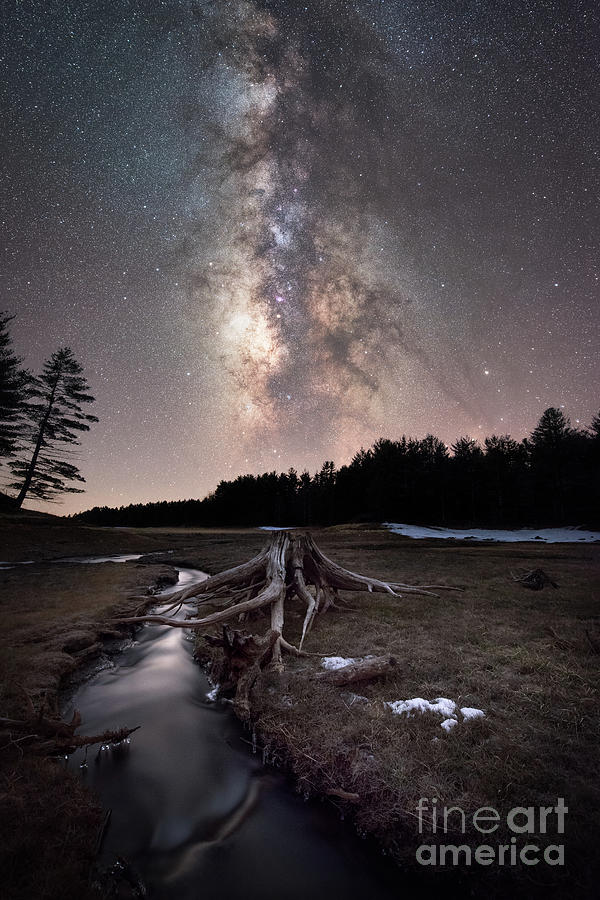 Tree Stump Milky Way  Photograph by Michael Ver Sprill