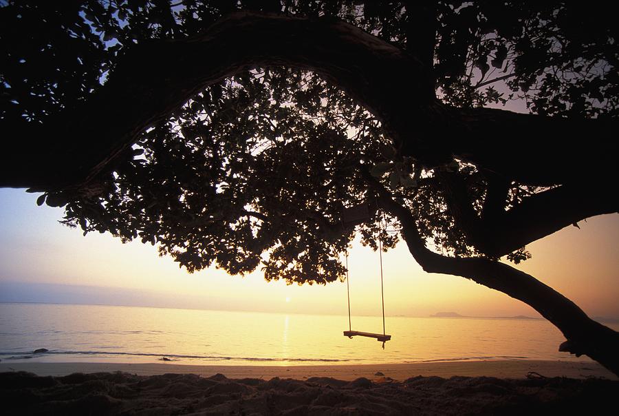 Tree Swing Photograph by Dana Edmunds - Printscapes