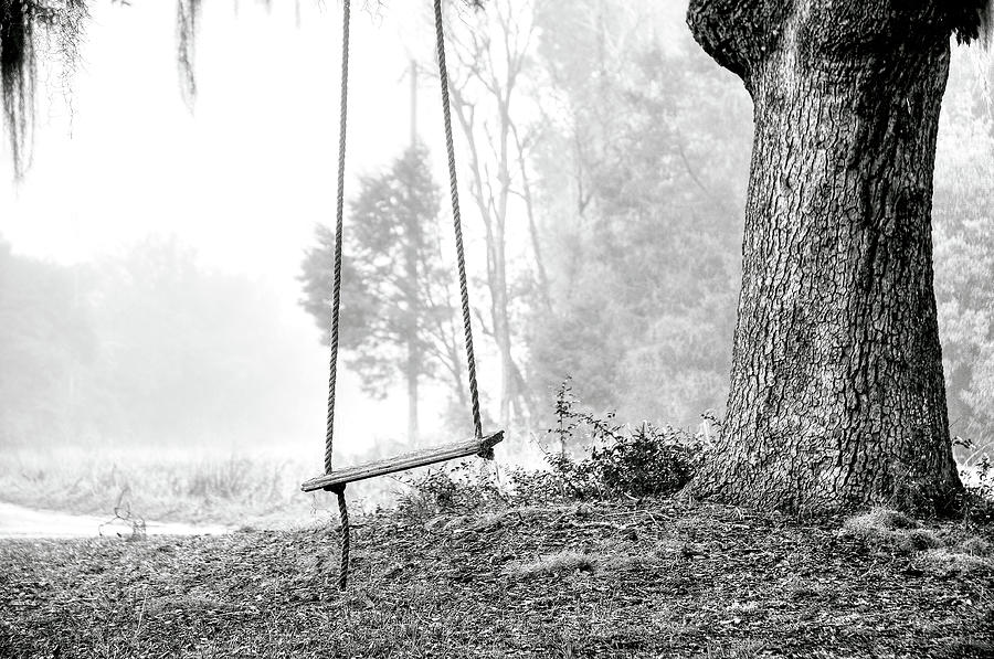 Tree Swing by Scott Hansen - Fine Art America