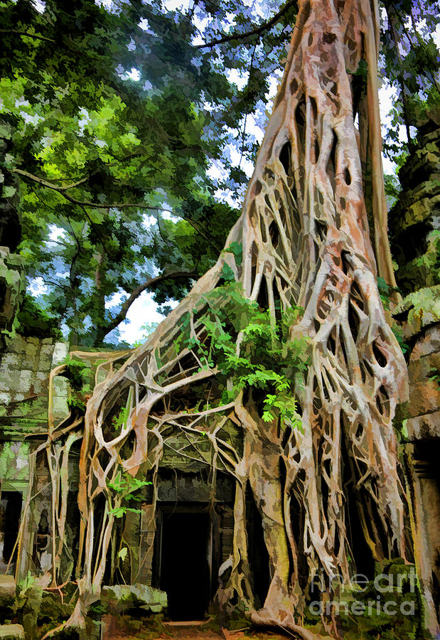 Buffalo Photograph - Tree Ta Prohm Cambodia by Chuck Kuhn