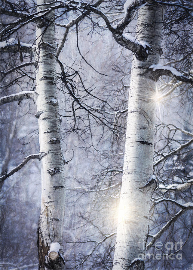 Winter Painting - Tree Talk by Janice Pariza