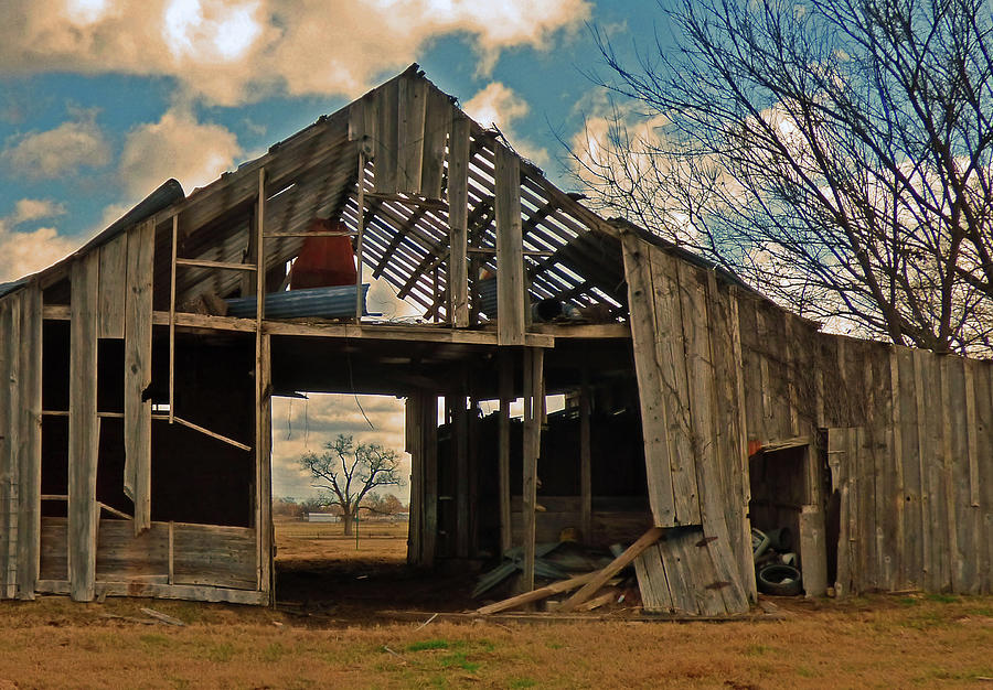 Tree through the barn Photograph by Carla Folks - Fine Art America