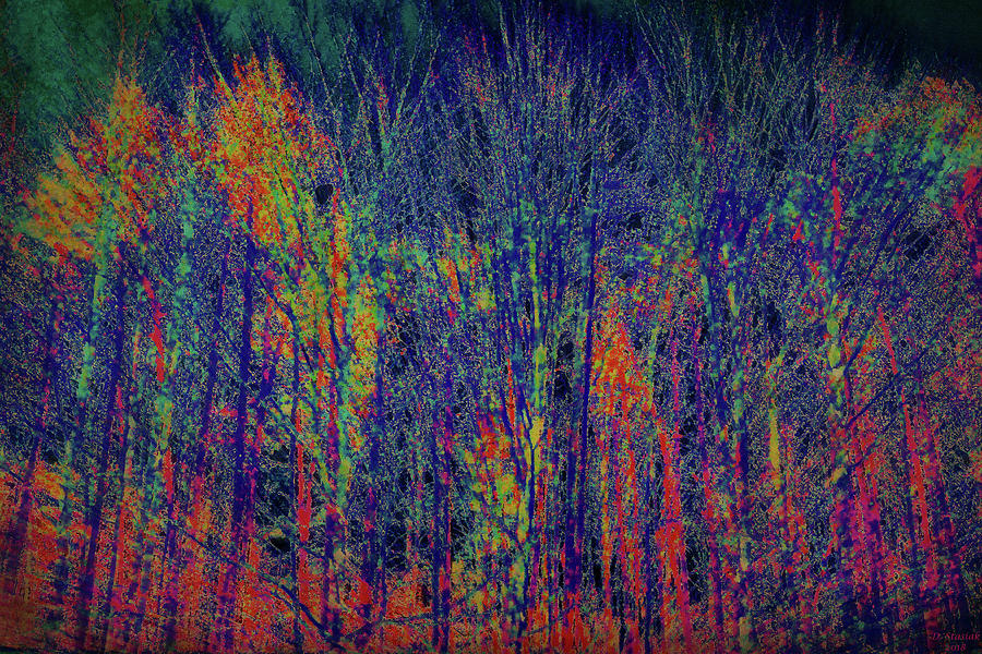 Tree Top Abstract Digital Art by David Stasiak