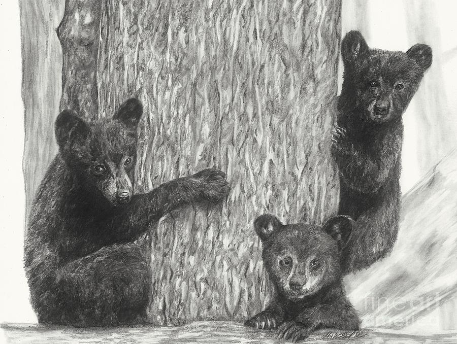 Tree trio  Drawing by Meagan  Visser