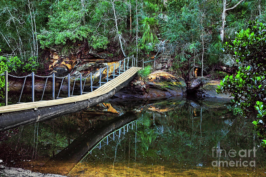 Nature Photograph - Tree Trunk Bridge by Kaye Menner by Kaye Menner