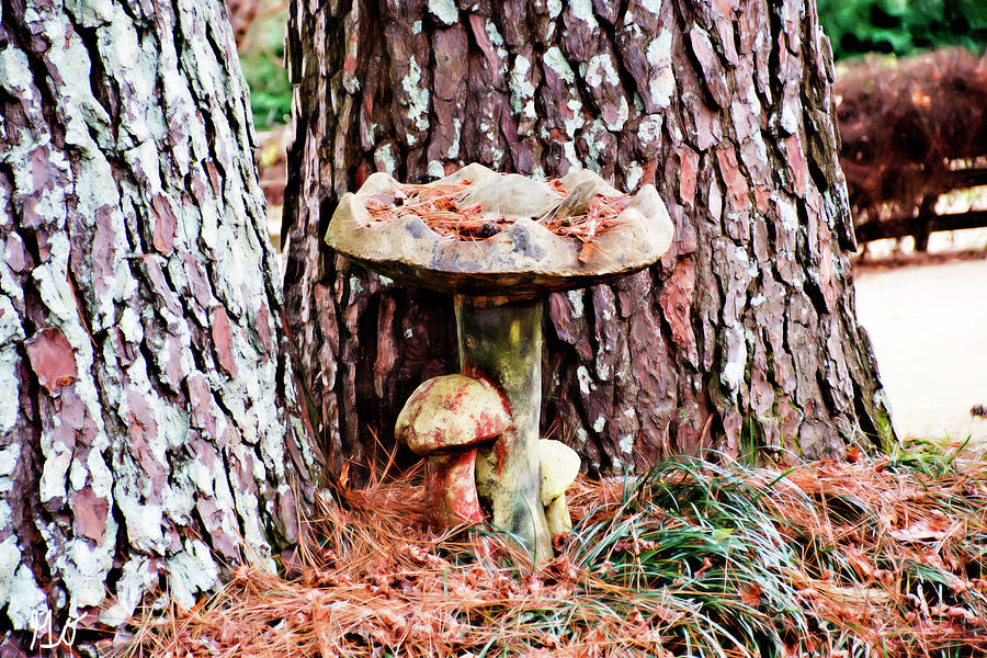 Tree Trunks And Concrete Mushrooms Photograph