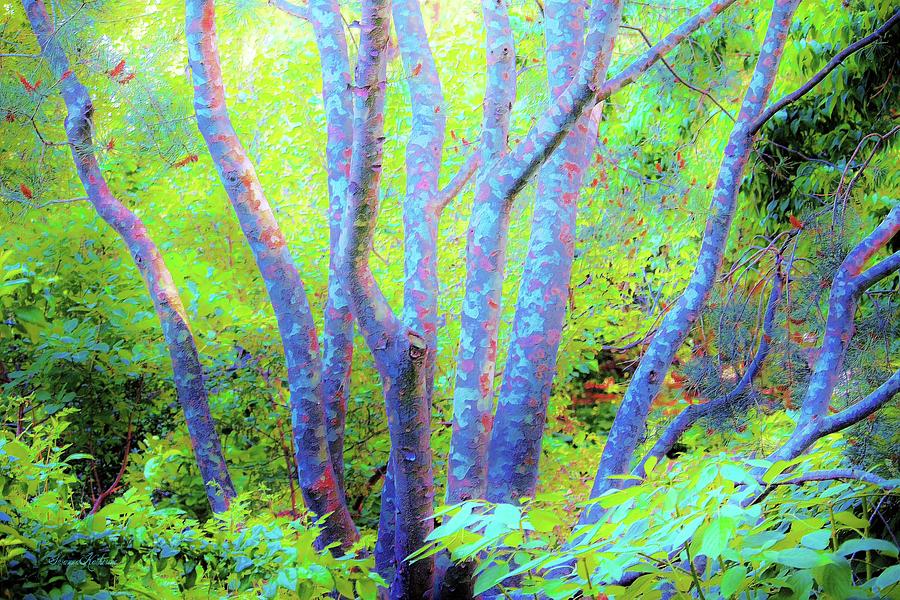 Tree Painting - Tree Trunks Blue by Susanna Katherine