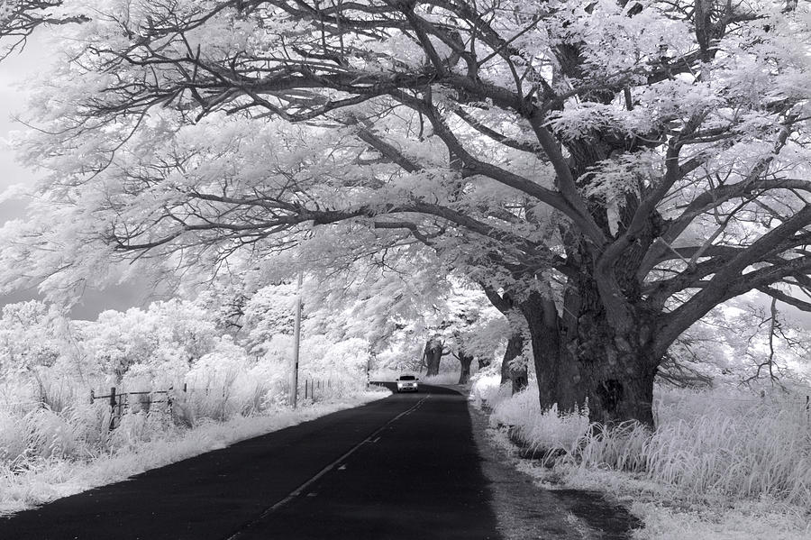 Black And White Photograph - Waialua White-out by Sean Davey