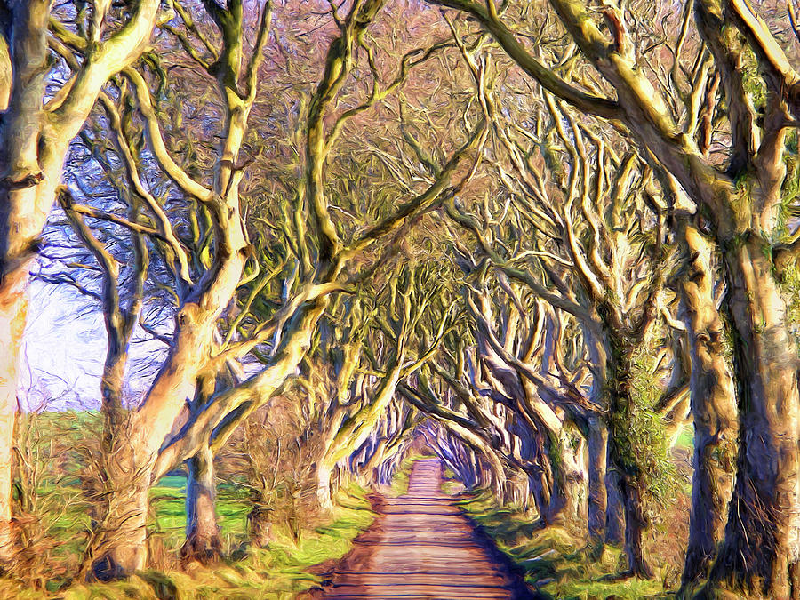 Tree Tunnel in Afternoon Sun Painting by Dominic Piperata