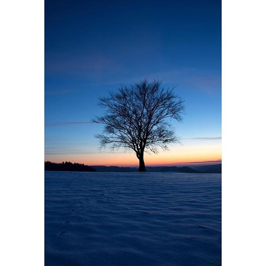 Nature Photograph - #tree #winter #winterwonderland #cold by Tat Fra