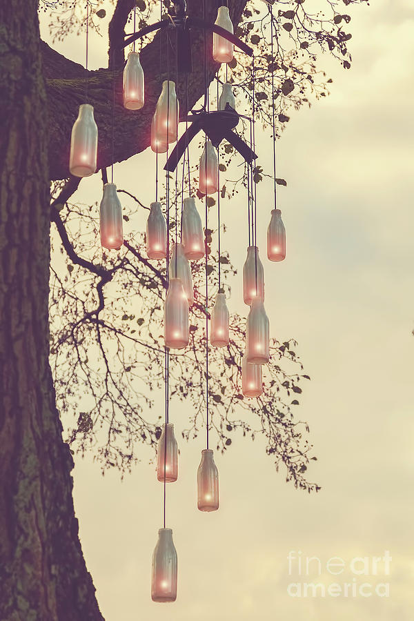 Tree with bottle candles Photograph by Sophie McAulay