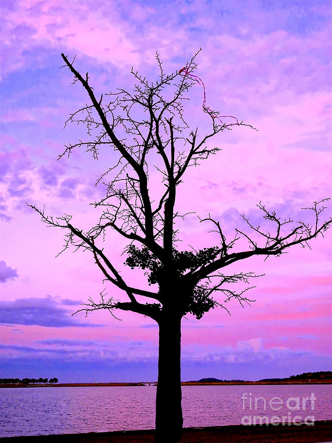 Tree With Pink Ribbon Photograph by Beth Myer Photography