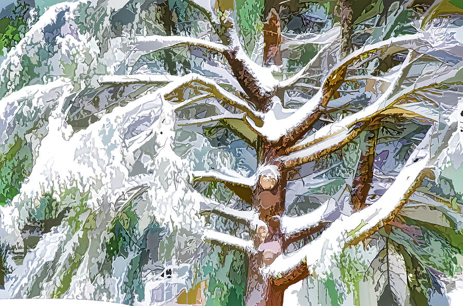 Tree with white fluffy snow Painting by Jeelan Clark